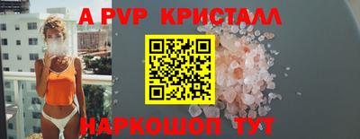 тгк Канаш