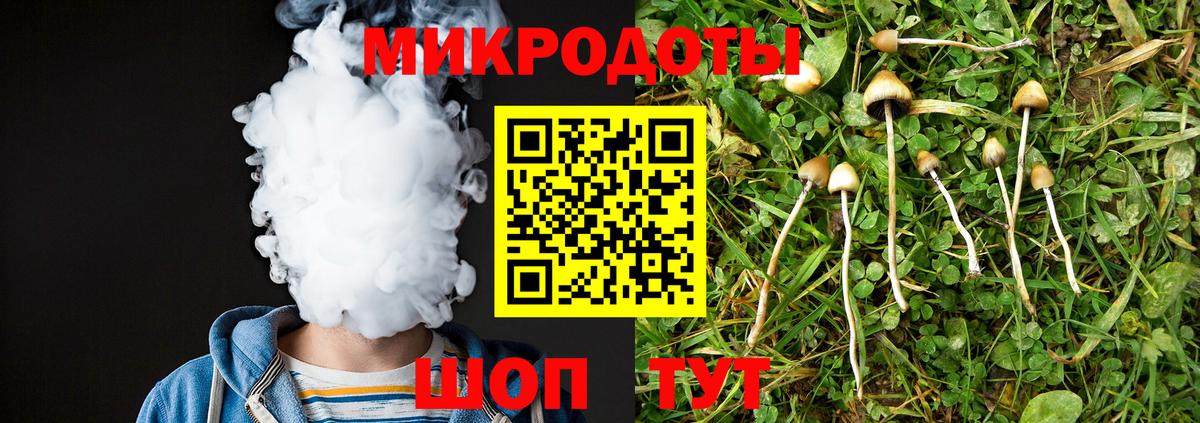 Псилоцибиновые грибы Psilocybine cubensis Курчалой